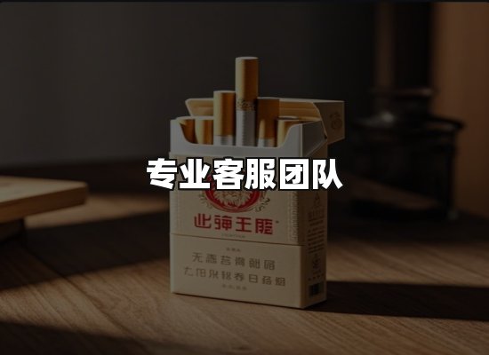 专业优势